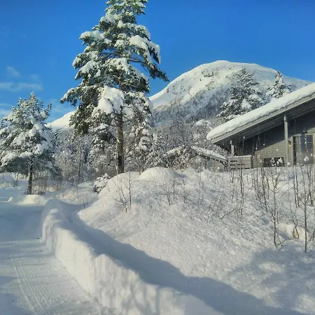 Orman Evi Jolsterlia Hyttetun *