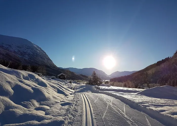 Orman Evi Jolsterlia Hyttetun *