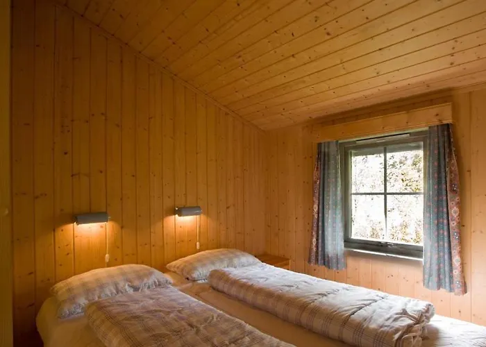 Jolsterlia Hyttetun *