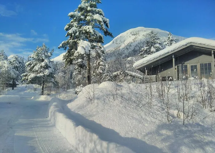 Orman Evi Jolsterlia Hyttetun *